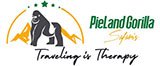 Kenlink Tours